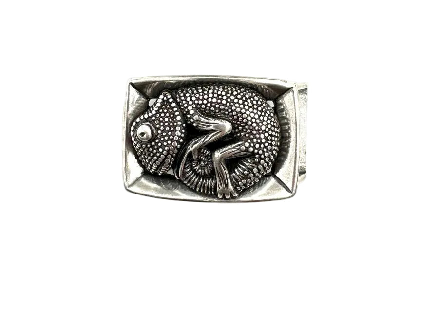 BOUCLE N355/25