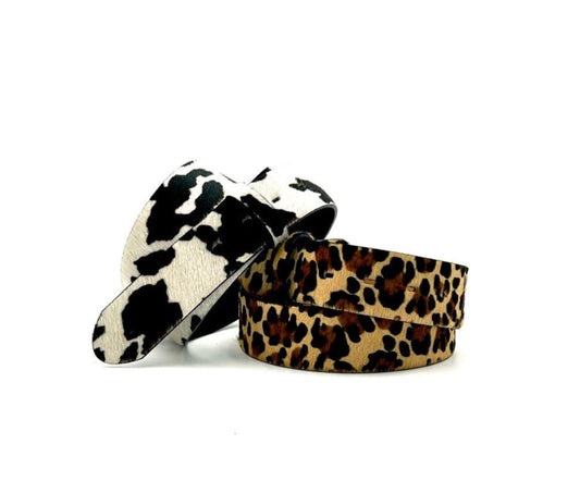ANIMAL